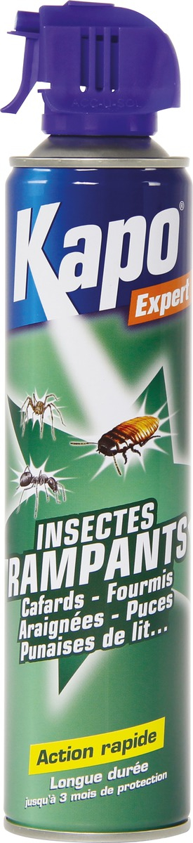 Insectes rampants KAPO